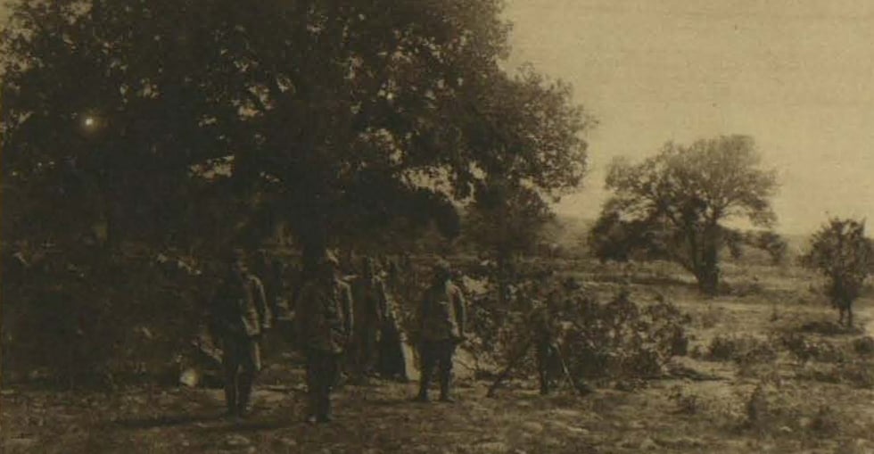 From the Turkish side: A view of a Turkish encampment hidden among trees, concealed from the obvservation of the Allies' aeroplanes