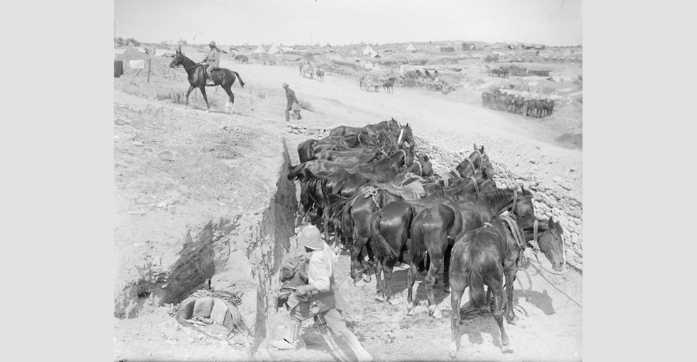 Shelters dug into the hill side to protect horses from shell fire.