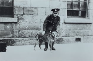 RDF soldier with their mascot at the Royal Barracks, Dublin, April 1915. (NMI)